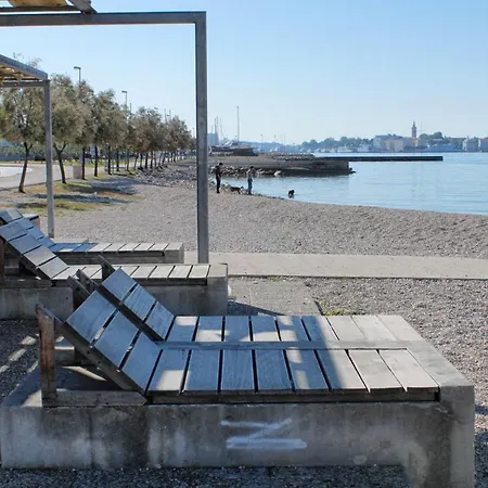 By The Sea - 14461